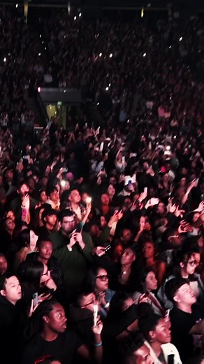 Capturing Crowd Vibes at a Show | Camera Shot Highlights