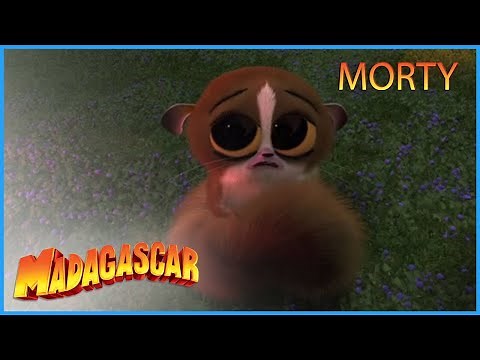 DreamWorks Madagascar | Morty's Best Moments | Madagascar Movie Clip Kids Movies