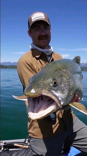 Jigging Flathead Lake Trout