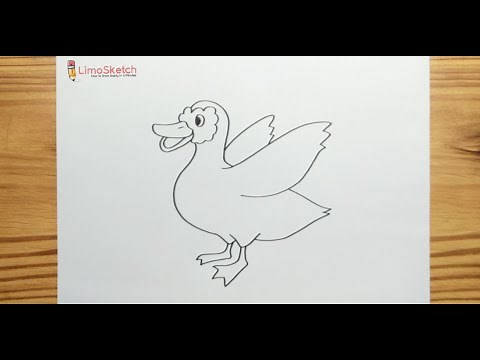 How to Draw A MUSCOVY DUCK Easy Step by Step For Kids
