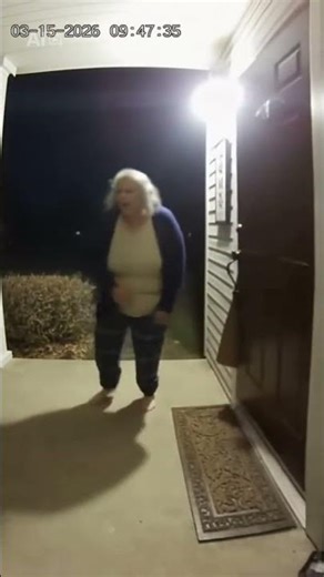crazy orange cat running straight into the door😹#funnycat#doorbellcamera#caughtoncamera#funnyanimals