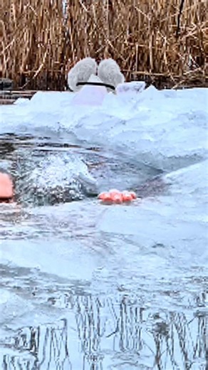 Ice Bath in Frozen Lake | Cold Exposure