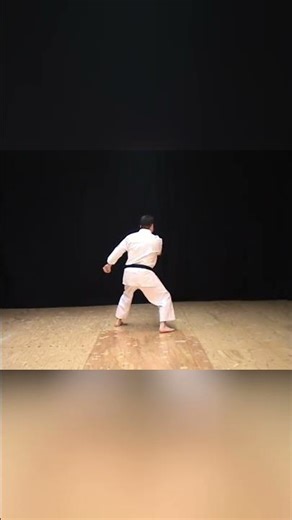 Master Karate Moves: Basic to Advanced Strikes! #shorts