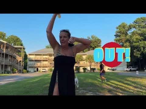 The Rise of Dog Baseball: A Generational Phenomenon