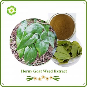 [Hot Item] Hunan Word Well-Being Male Health Care Horny Goat /Epimedium Extract Powder
