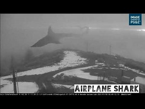 airplane shark sound effects