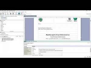 SMART Reports: Main Reporting Section Commands