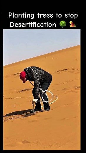 Planting trees to stop Desertification 🌳 🏜️ #desert #tree # reforestation