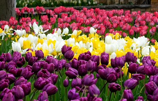 Is it spring yet? When spring starts, what the weather could look like