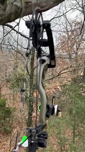 9.2K views · 290 reactions | When your life depends on it, you should consider buying a stand MADE HERE. Novix | Whitetail Edge | Facebook