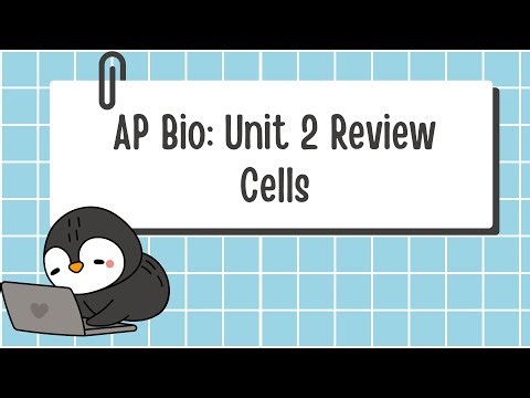 Unit 2 AP Biology Review