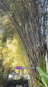 1.7K reactions · 114 shares | #heliosspaboracay SPECIAL PROMO for...