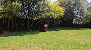 Boerboel 'Bubbles' - Handover Training Session Well Done to K9 Bubbles on successfully completing the K9 Obedience and Attack Training Programme !! Bubbles did very well during her Handover Training Session and returned home as a predictable, protective and well behaved family companion. Well Done Girl !! * Call / Whatsapp 0825751009 to have your dog trained in just a few short weeks. | Comprehensive K9 Solutions