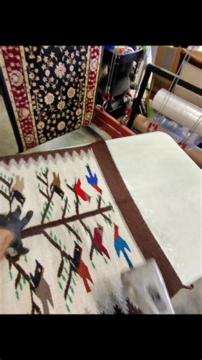 Rugs that can bleed color? How do we deal with that? #rugcleaning #specialcleaning #WoolRugs | Ferrante's Steam Carpet Cleaning