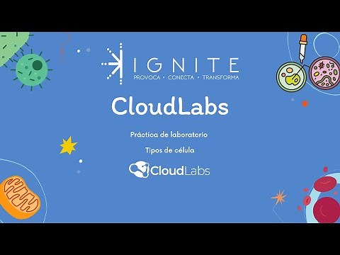 Práctica de laboratorio Tipos de célula (Simuladores CloudLabs)