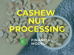 Cashew Nut Processing Business Plan Financial Model Excel Template | eFinancialModels