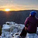 Nurse-Patient Relationships