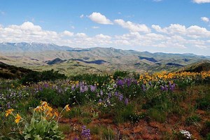 Great Basin Landscape Conservation Cooperative - Alchetron, the free social encyclopedia