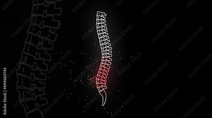 Spine graphic and medical scan for injury with black background and backache illustration. Red, inflammation and healthcare for pain, lumbar problem and pelvis issue for orthopedic surgeon help
