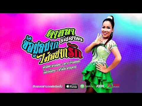 ข้อมูลมากไม่อยากรัก - ดาหลา ธัญญาพร [OFFICIAL LYRIC]