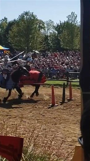 Ohio Renaissance festival 2018