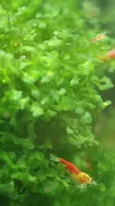 82K views · 1.2K reactions | Last but certainly not least, Rob's...