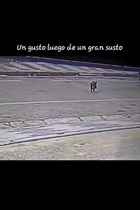 Ojalá tener la suerte del michi 🥺🥺 #funny #michi #viral #viralreels #humor #michis #gatos | Funny michi