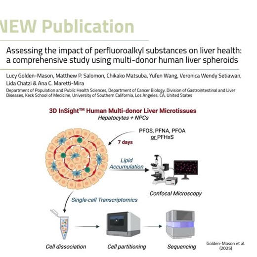 #insphero #3dinsight #humanbasedresearch #advancedinvitromodels #toxicologyresearch | InSphero
