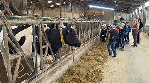 22K views · 165 reactions | Une visite à la ferme des écoliers pour susciter des vocations. Quatre étudiants en BTS agricole ont choisi d’inviter les élèves de l’école primaire de Rahling sur cette ferme communale. Objectif : attirer la curiosité des jeunes sur le métier d’agriculteur. | Mosaïk Cristal | Facebook