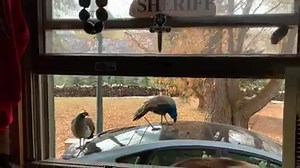 26K views · 1.1K reactions | Hunter S. Thompson on Reels | Facebook