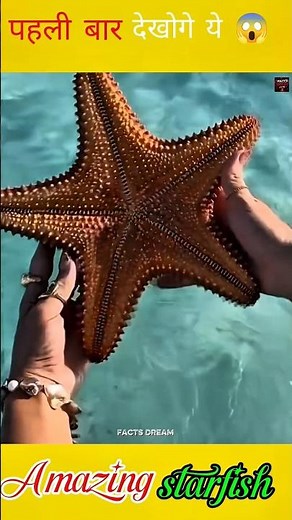 ⭐ Amazing Starfish Facts You Didn't Know! 🌊