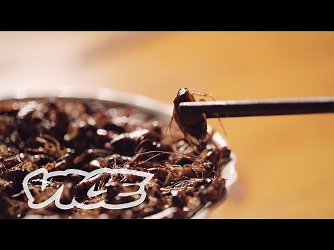 The Benefits Of Eating Bugs In China (Part 2/2)