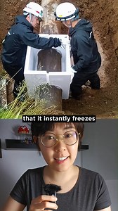 The Science of Ice Plugs: Repairing Pipes with Liquid Nitrogen! In a clever application of physics and engineering, technicians have found an efficient way to repair high-pressure water pipes - by freezing them. Using liquid nitrogen, which boils at –196°C, they rapidly cool a section of the pipe, causing the water inside to freeze solid. This frozen mass temporarily blocks the flow of water, effectively acting as a valve without the need for mechanical shutoff systems. The method allows workers