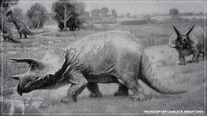 Our image of dinosaurs has been constantly changing since naturalists started studying them about 350 years ago. Taken together, these pictures can tell us a whole lot about just how much we have learned. Let's explore the history of dinosaur science as seen through the history of dinosaur art. | Eons • PBS