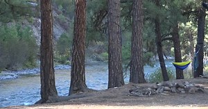 Boise National Forest experienced substantial human impacts this summer