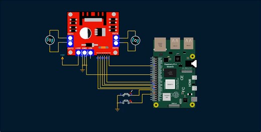Raspberry Pi L298N Motor Driver: Wiring Diagram and Python Code