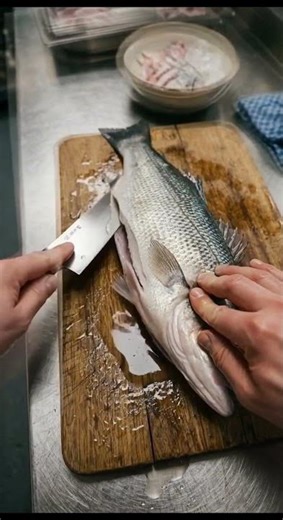 Fresh fish preparation on a professional kitchen table 🐟🔪