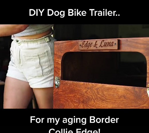 DIY Dog Bike Trailer for Happy Dogs