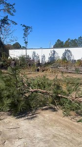 If you’ve been getting your mail late — good news! 📬 USPS is expanding their parking lot in Acworth to make room for more delivery trucks. We were out there in the cold helping clear the way. Nothing like a little chainsaw therapy to warm up the morning! 🌲💪 #FellowTree #Acworth #TreeWork #USPS | Fellow Tree