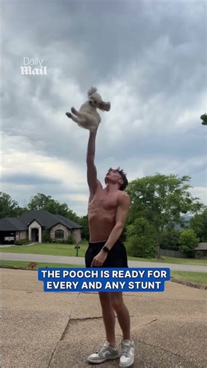 Dog performs the perfect cheerleading routine