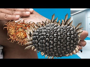 Gentle ASMR Foot Pampering 💆‍♀️ | Relaxing Spa Treatment & Soft Sounds