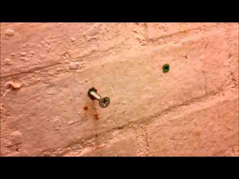 How to remove a Rawl plug (raw plug, wall plug, screw anchor, dowel) from a wall