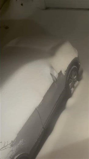 It Snowed #Shorts #Snow ❄