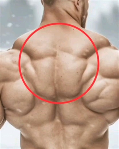 Workouts Coach | Fitness & Nutrition on Instagram: "🔥 Want a WIDER, STRONGER Back? Do This! 🔥 A well-developed back isn’t just about looks—it improves posture, strength, and overall performance. But are you training it the right way? 💪 Best Back Exercises for MASS & STRENGTH: ✅ Pull-Ups/Lat Pulldowns – Build width & V-taper shape. ✅ Barbell Rows – Add thickness to mid and upper back. ✅ Deadlifts – Full back activation + raw strength! ✅ Seated Cable Rows – Isolate and defi