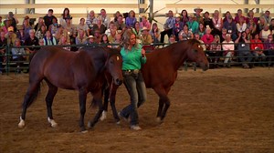 Communicating with the Parelli community is important. In fact, being able to reach out for help and inspiration when you need it is so important that Pat made Support the 7th Key to Success. With our new forums and groups, we've made it simple to start conversations with other members and instructors, chat about subjects you're passionate for, and ask questions when you're stuck in your horsemanship. Get involved today at 2017.parellisavvyclub.com! . . . We are excited to present these features