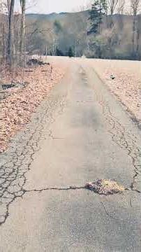 Truck Driver Finds Hidden Customer