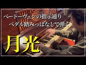 【ペダル問題の解説付き】月光ソナタ 第1楽章/L.v.ベートーヴェン Beethoven : Moonlight Sonata