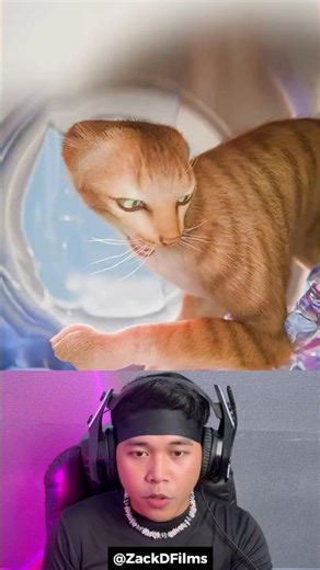 Initially Scared, This Cat Survived the Washing Machine 🐈😱 #shorts