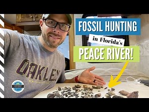 Fossil Hunting at Thousand Trails Peace River RV Campground Searching for Megalodon Shark Teeth