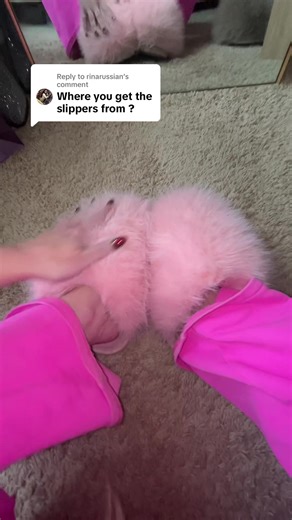Cozy and Cute Fuzzy Slippers for Everyone